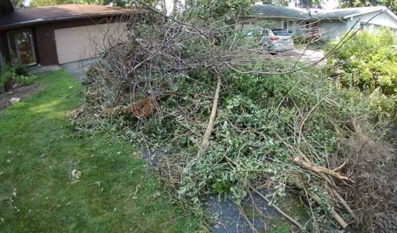 Pile of yard waste for yard waste removal